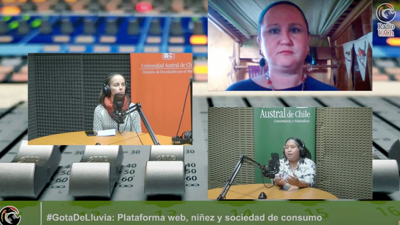 Niñez y sociedad de consumo