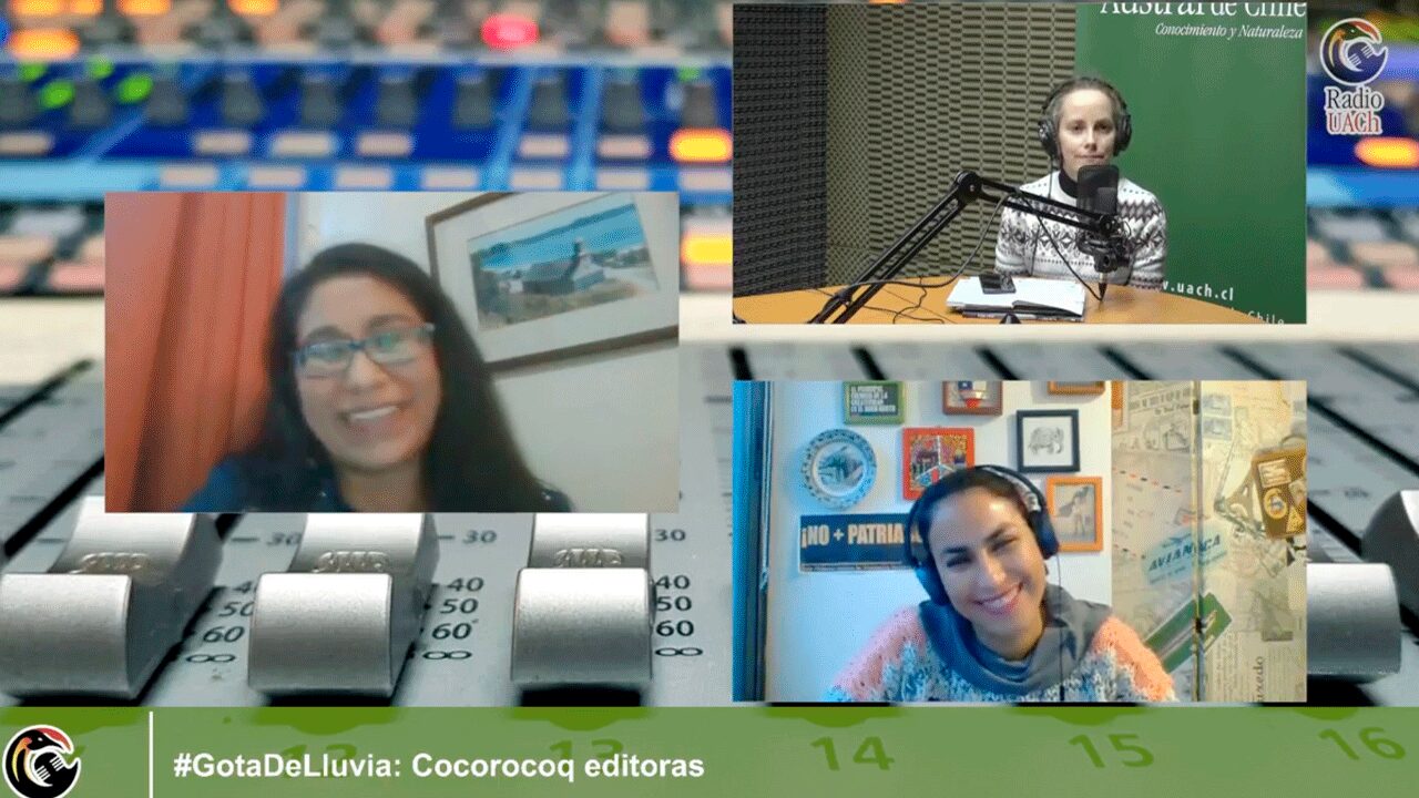 Cocorocoq Editoras: literatura ilustrada de calidad