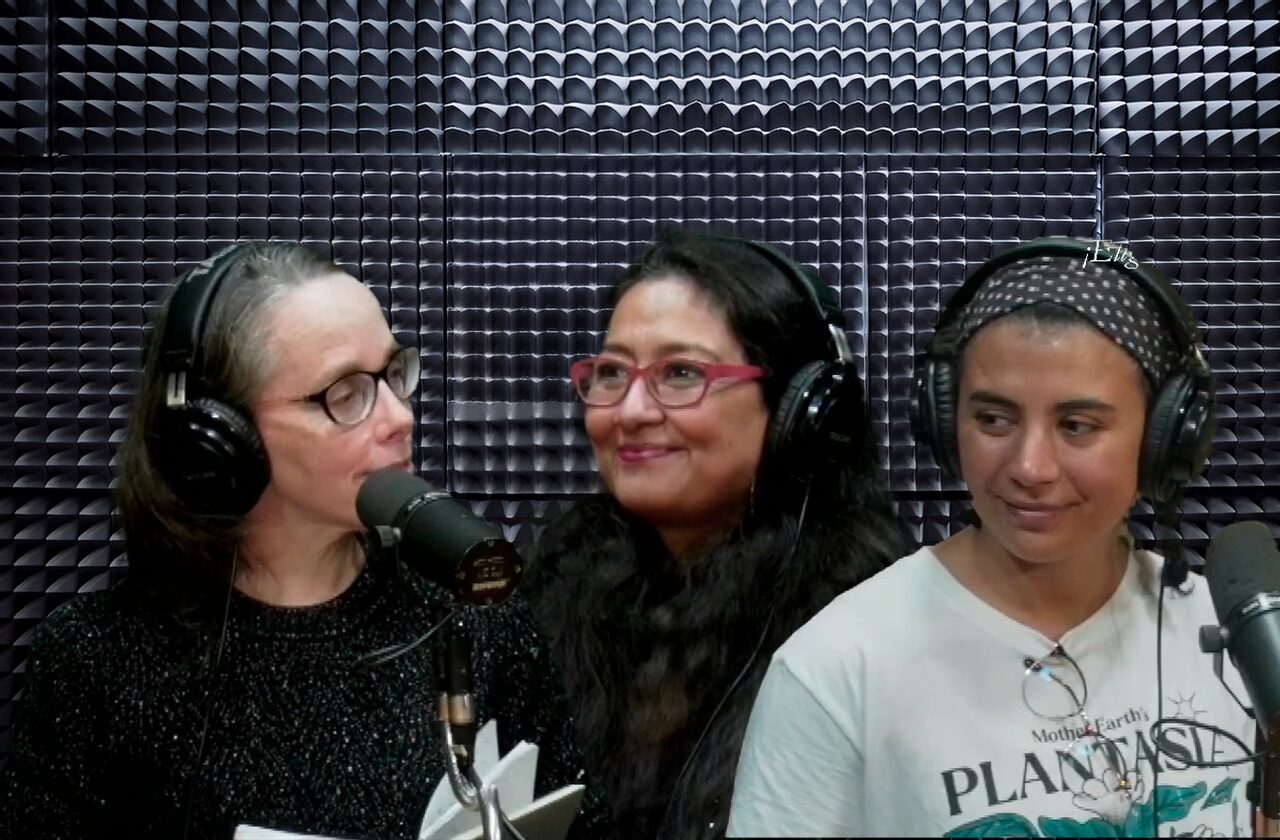 «Historia Bien Urdida»: Lectura y bordado se entrelazan en innovador proyecto cultural en Los Ríos