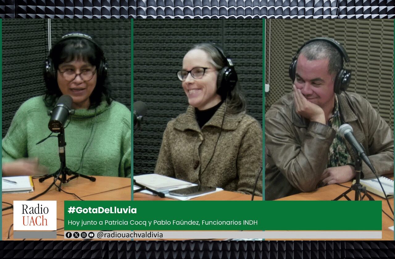 Derechos de Niñez y Cultura en Chile: Participación, Literatura y Acción Local