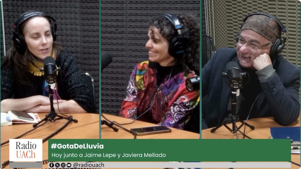 Gota de Lluvia en Radio UACh sobre literatura infantil, con conductora y sus invitados Jaime Lepe y Javiera Mellado.